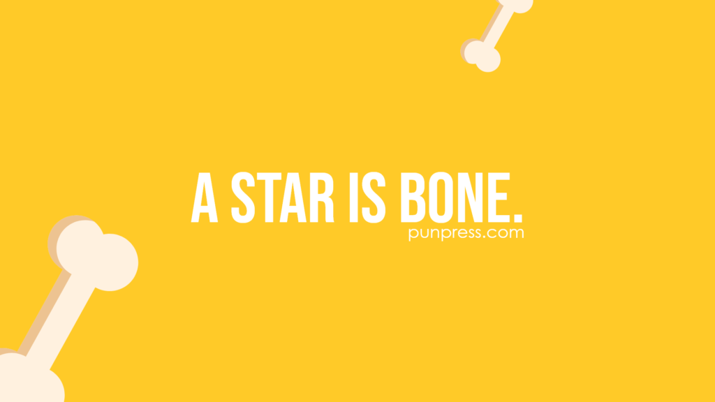 a star is bone - bone puns