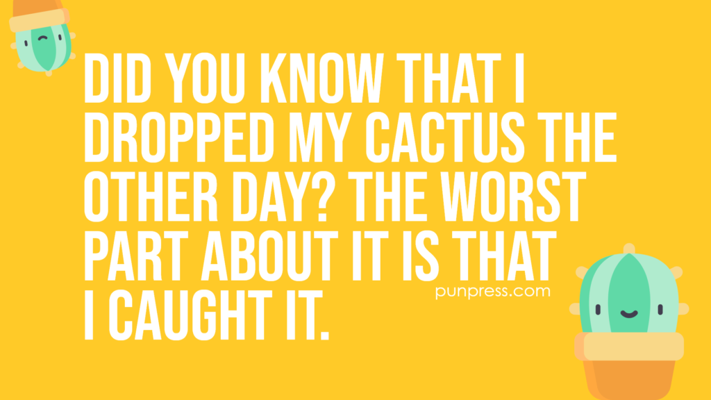 did you know that I dropped my cactus the other day? the worst part about it is that I caught it - cactus puns