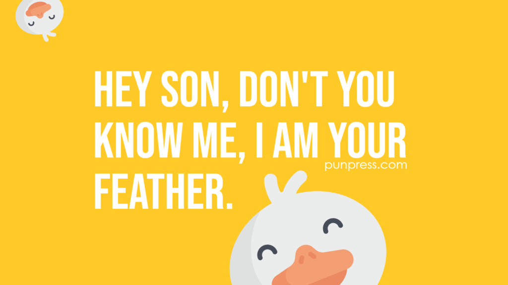hey son, don't you know me, I am your feather - duck puns