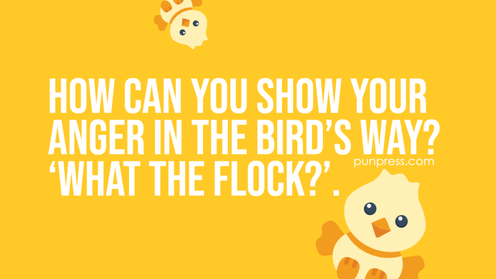 how can you show your anger in the bird’s way? ‘what the flock?’ - bird puns