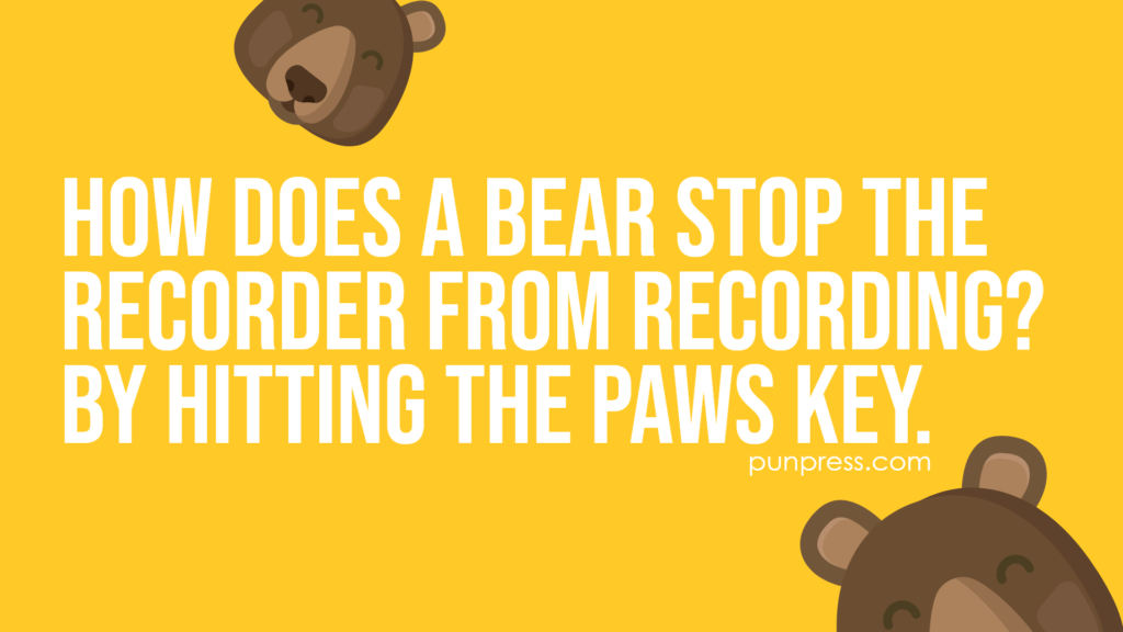 how does a bear stop the recorder from recording? by hitting the paws key - bear puns