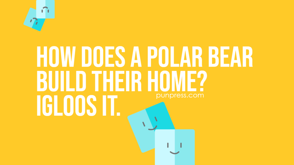 how does a polar bear build their home? igloos it - ice puns