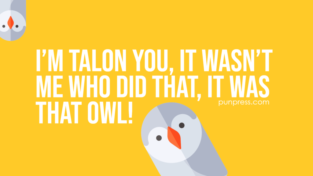 i’m talon you, it wasn’t me who did that, it was that owl - owl puns