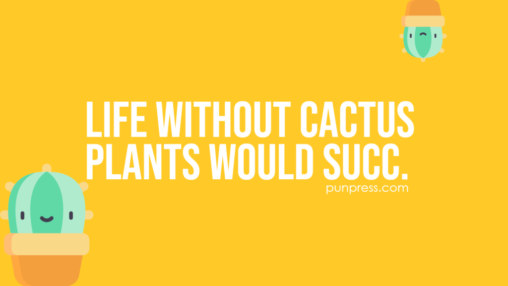 life without cactus plants would succ - cactus puns