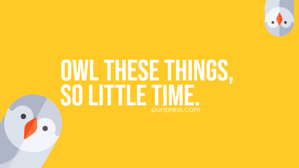 owl these things, so little time - owl puns