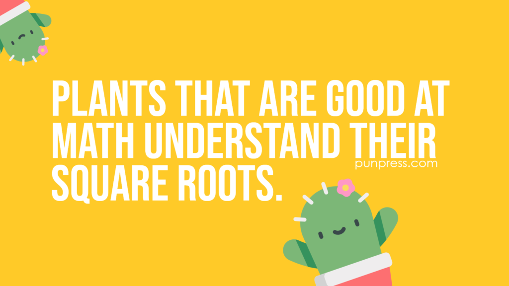 plants that are good at math understand their square roots - plant puns