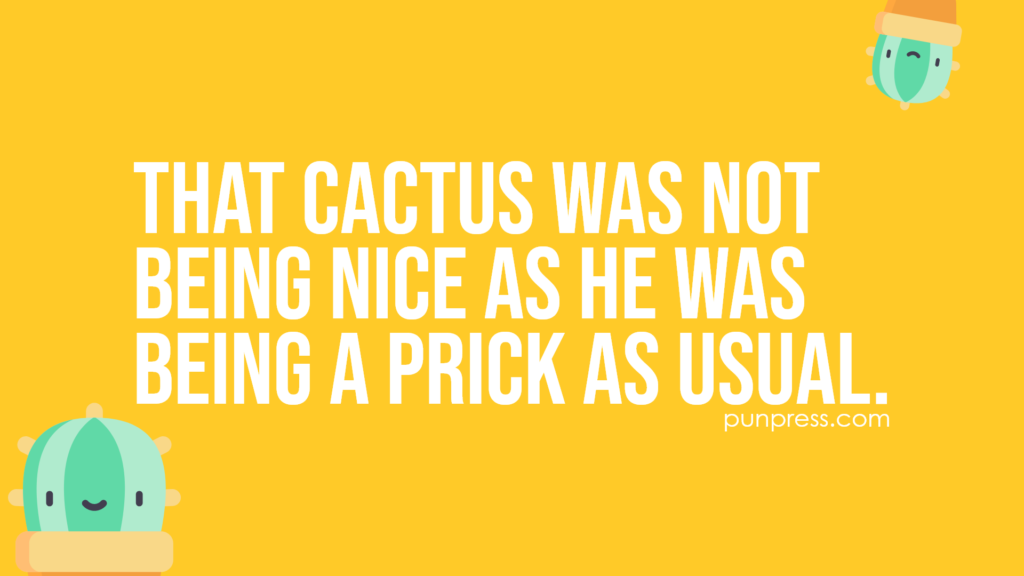 that cactus was not being nice as he was being a prick as usual - cactus puns