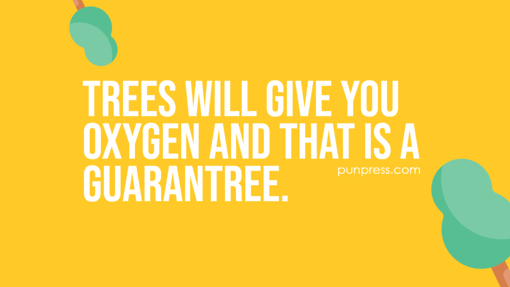 trees will give you oxygen and that is a guarantree - tree puns