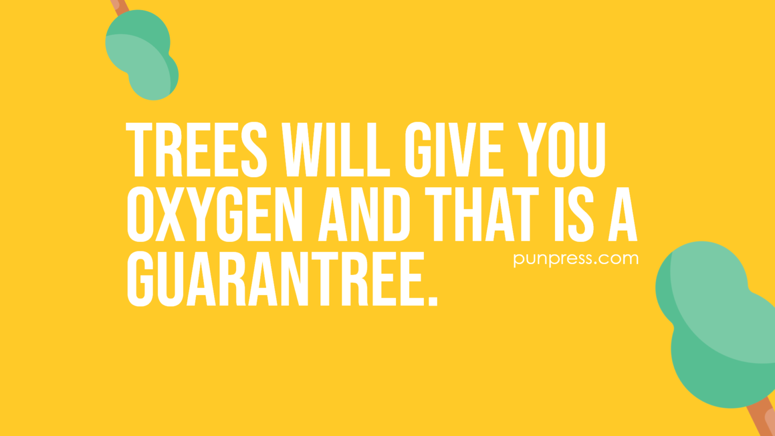 50 Tree Puns That Wood Not Get Humourless PunPress