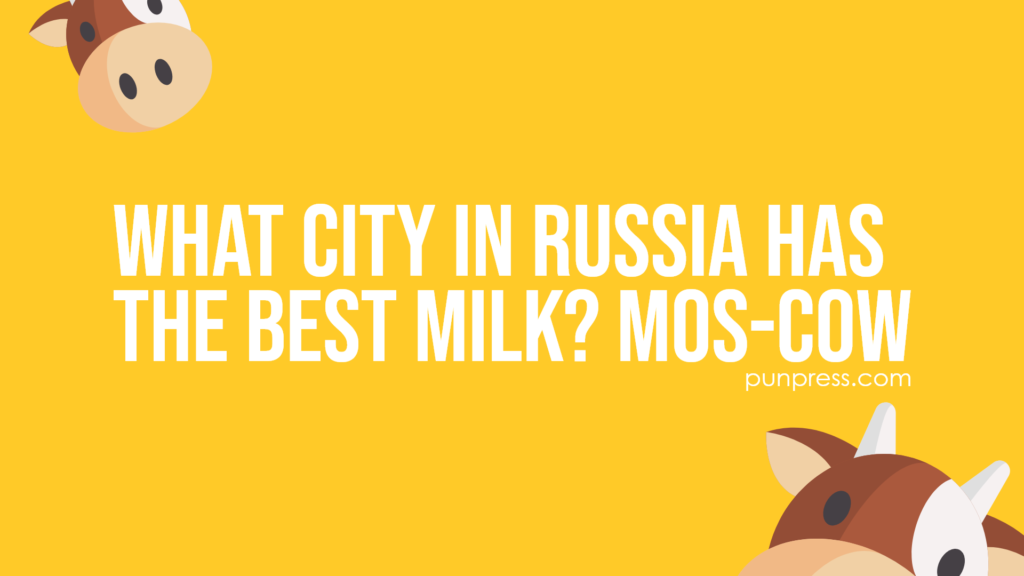 what city in russia has the best milk? mos-cow - cow puns