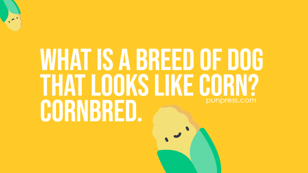 what is a breed of dog that looks like corn? cornbred - corn puns