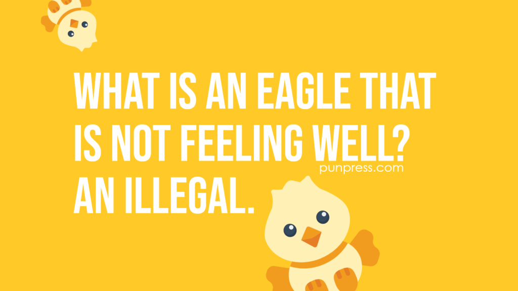 what is an eagle that is not feeling well? an illegal - bird puns