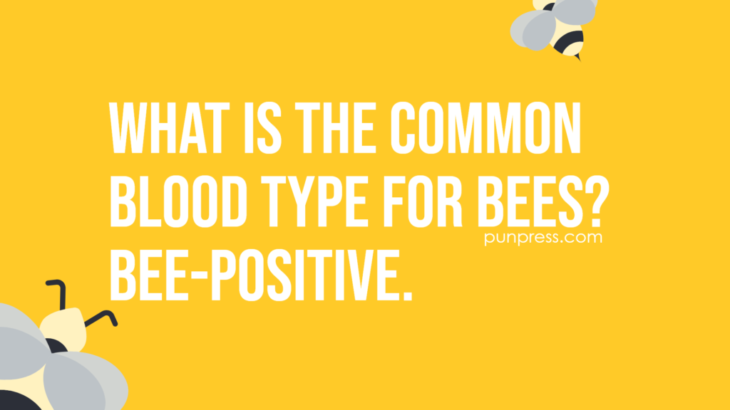 what is the common blood type for bees? bee-positive - bee puns
