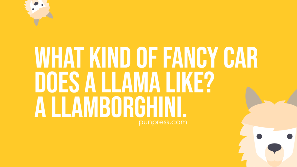 what kind of fancy car does a llama like? a llamborghini - llama puns
