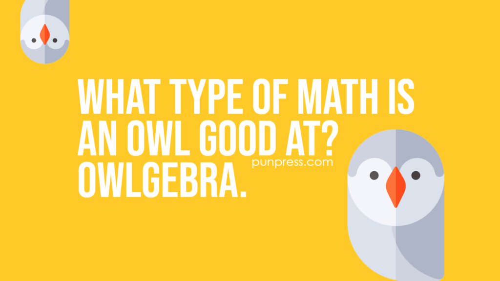 what type of math is an owl good at? owlgebra - owl puns