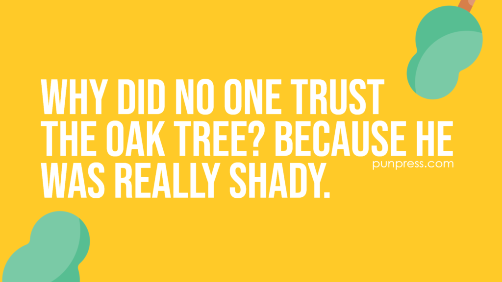 why did no one trust the oak tree? because he was really shady - tree puns