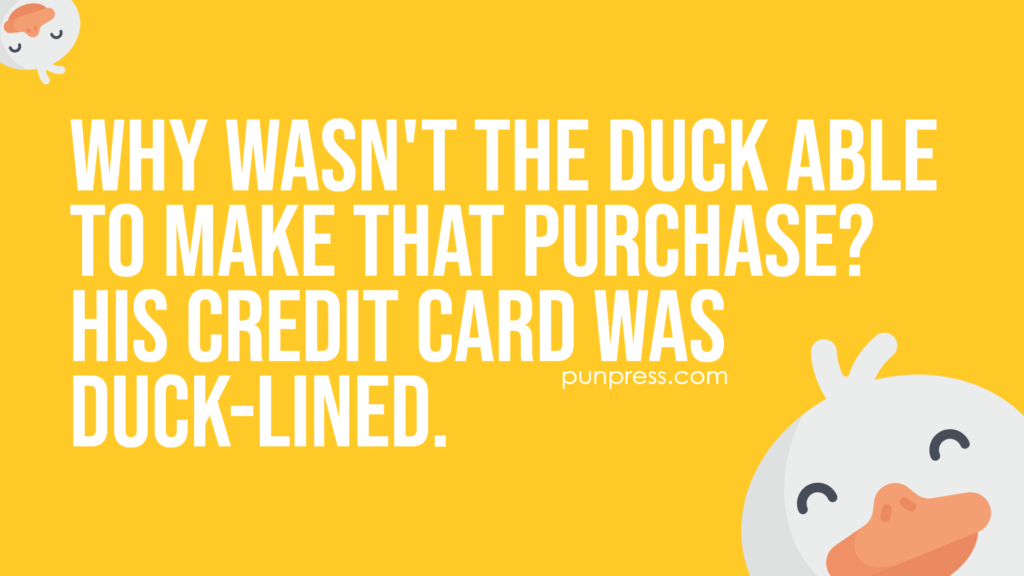 why wasn't the duck able to make that purchase? his credit card was duck-lined - duck puns