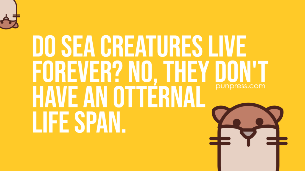 do sea creatures live forever? no, they don't have an otternal life span - otter puns