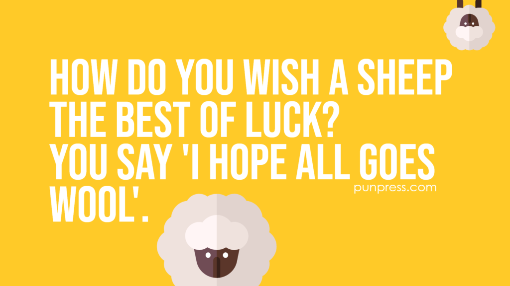how do you wish a sheep the best of luck? you say 'I hope all goes wool' - sheep puns