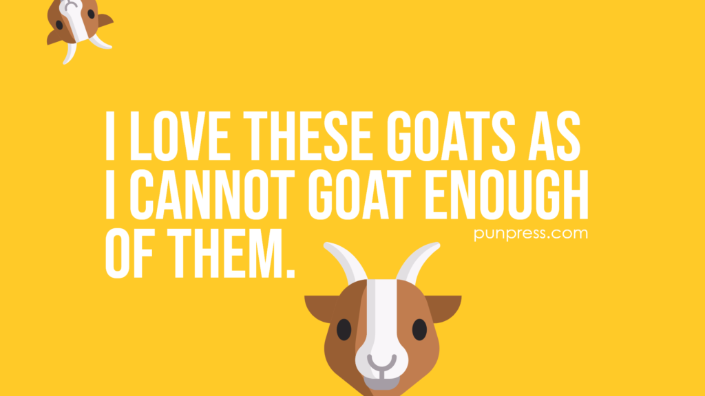 i love these goats as i cannot goat enough of them - goat puns