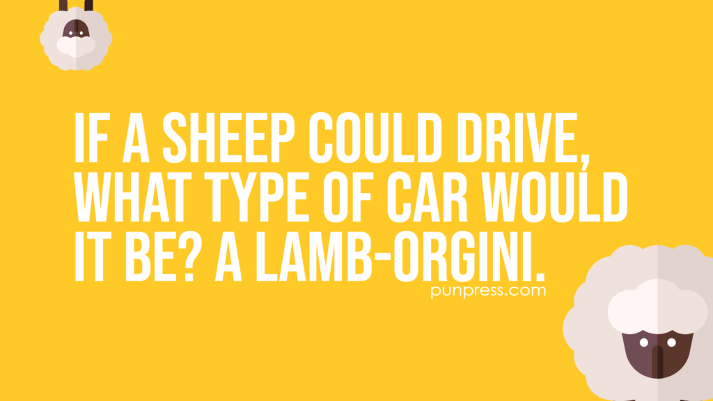 if a sheep could drive, what type of car would it be? a lamb-orgini - sheep puns