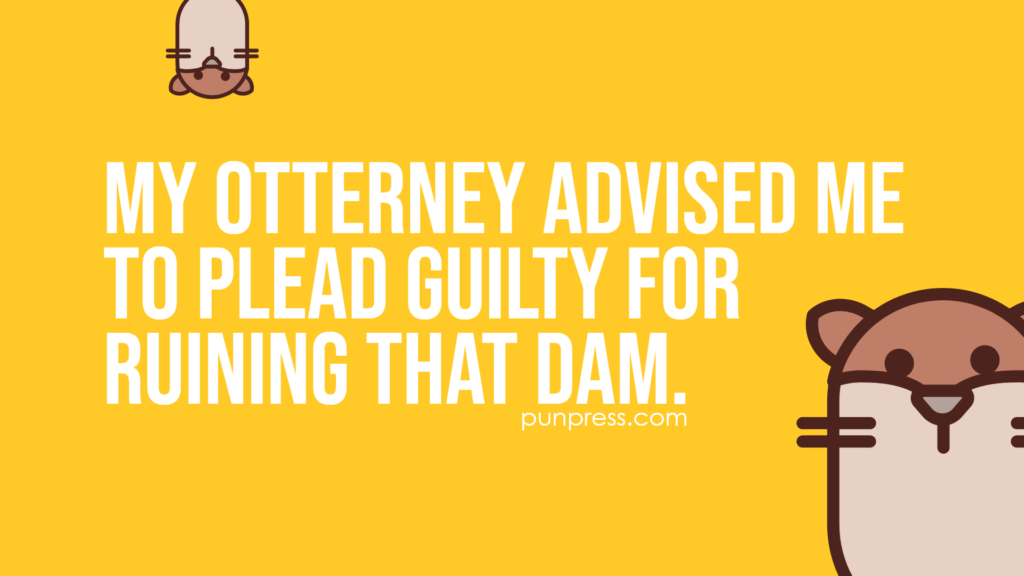my otterney advised me to plead guilty for ruining that dam - otter puns