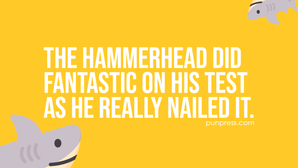 the hammerhead did fantastic on his test as he really nailed it - shark puns