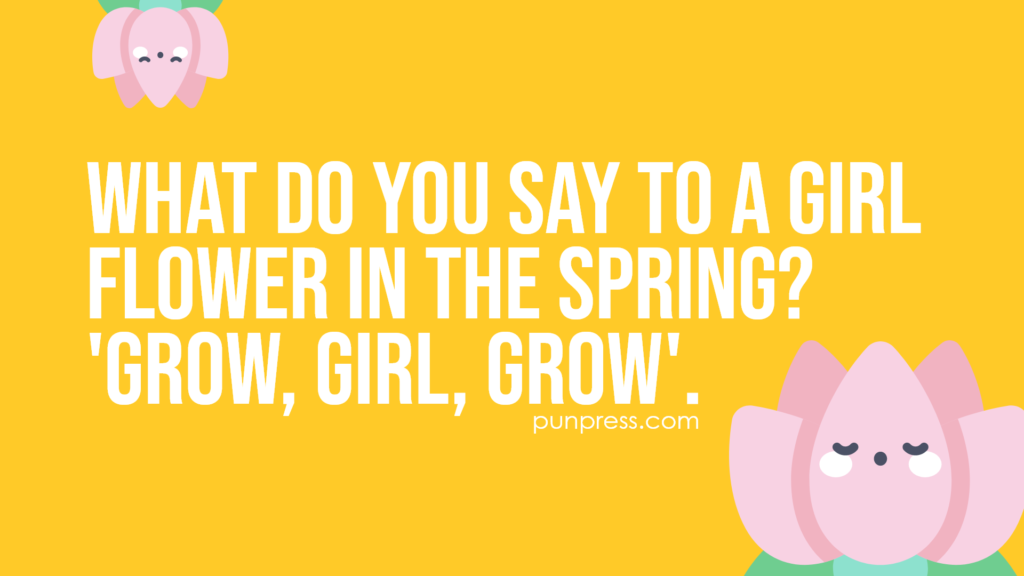 what do you say to a girl flower in the spring? 'grow, girl, grow' - spring puns
