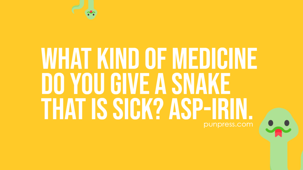what kind of medicine do you give a snake that is sick? asp-irin - snake puns
