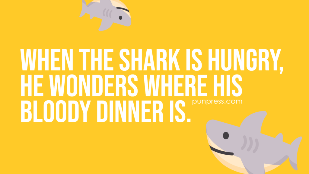 when the shark is hungry, he wonders where his bloody dinner is - shark puns