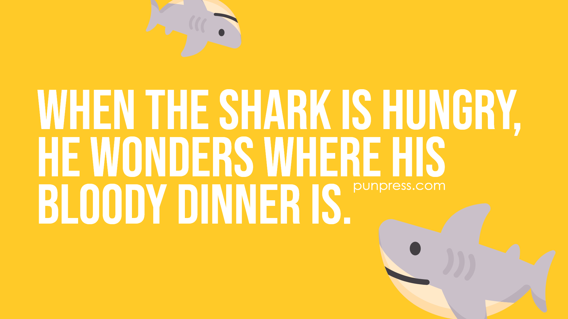 50 Shark Puns That Are Both Terrifying And Funny PunPress