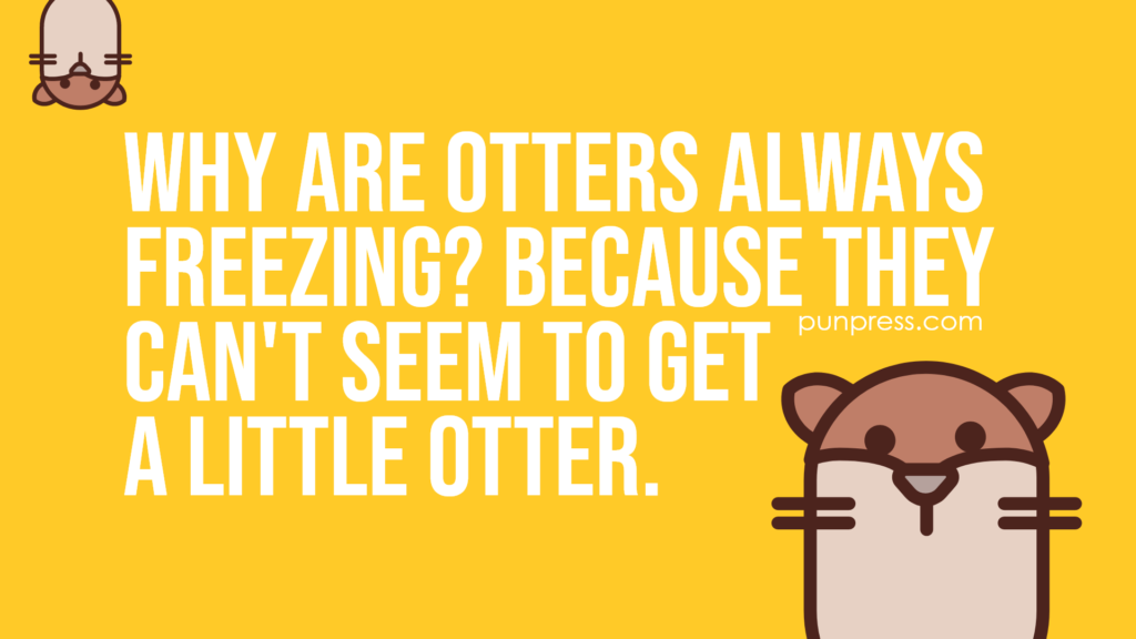 why are otters always freezing? because they can't seem to get a little otter - otter puns