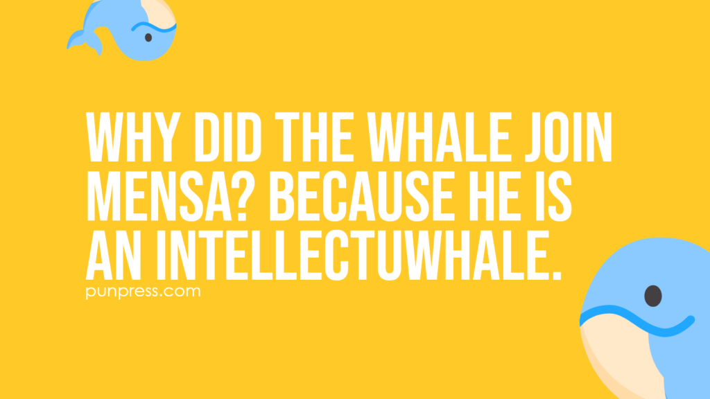 why did the whale join MENSA? because he is an intellectuwhale - whale puns