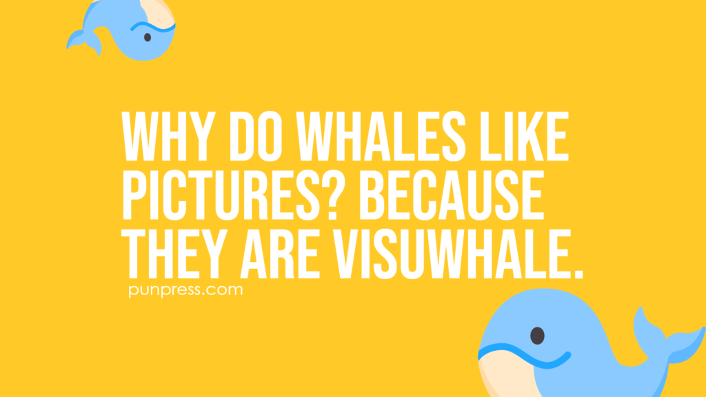 why do whales like pictures? because they are visuwhale - whale puns