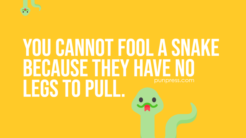 you cannot fool a snake because they have no legs to pull - snake puns