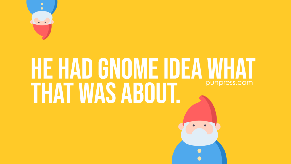 he had gnome idea what that was about - gnome puns