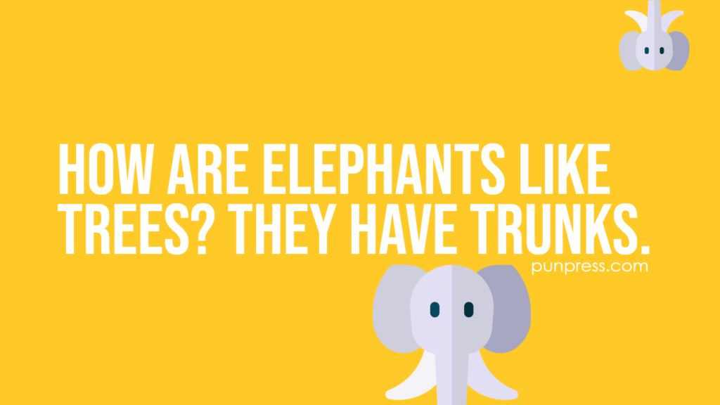how are elephants like trees? they have trunks - elephant puns