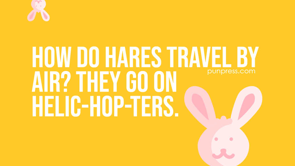 how do hares travel by air? they go on helic-hop-ters - hare puns