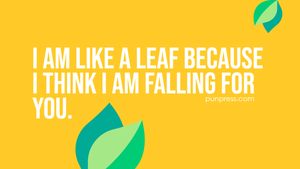 i am like a leaf because i think i am falling for you - leaf puns