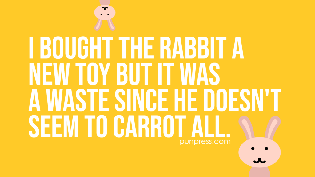 i bought the rabbit a new toy but it was a waste since he doesn't seem to carrot all - rabbit puns