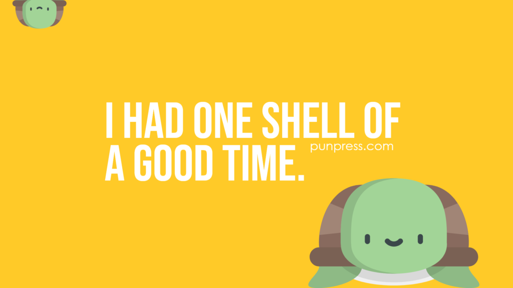 i had one shell of a good time - turtle puns