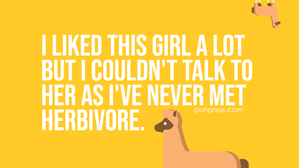 i liked this girl a lot but I couldn't talk to her as I've never met herbivore - alpaca puns