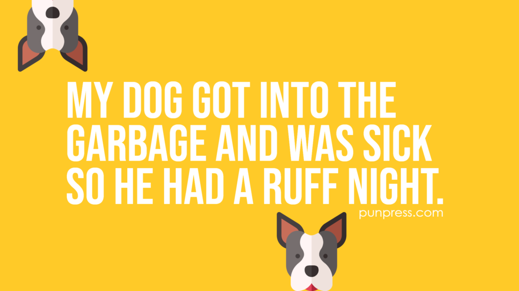 my dog got into the garbage and was sick so he had a ruff night - dog puns