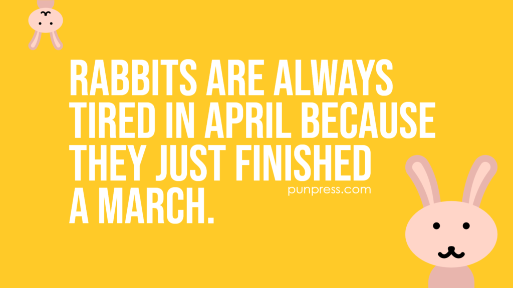 rabbits are always tired in april because they just finished a march - rabbit puns