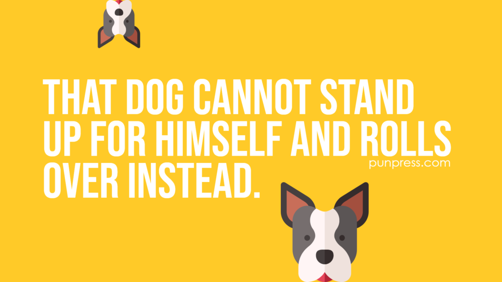 that dog cannot stand up for himself and rolls over instead - dog puns