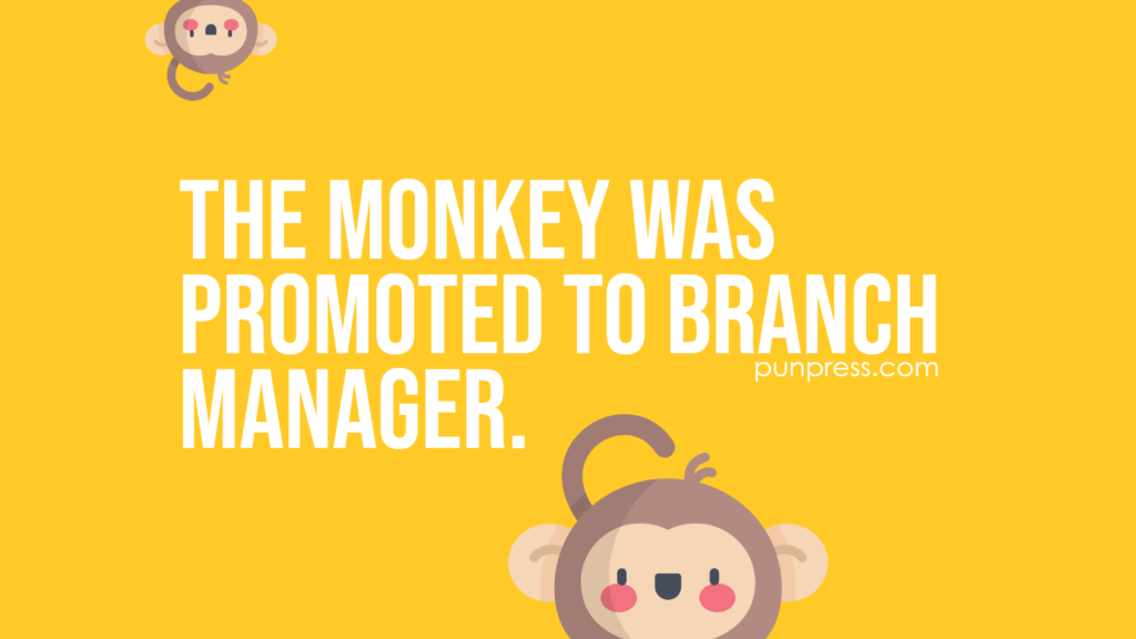the monkey was promoted to branch manager - monkey puns