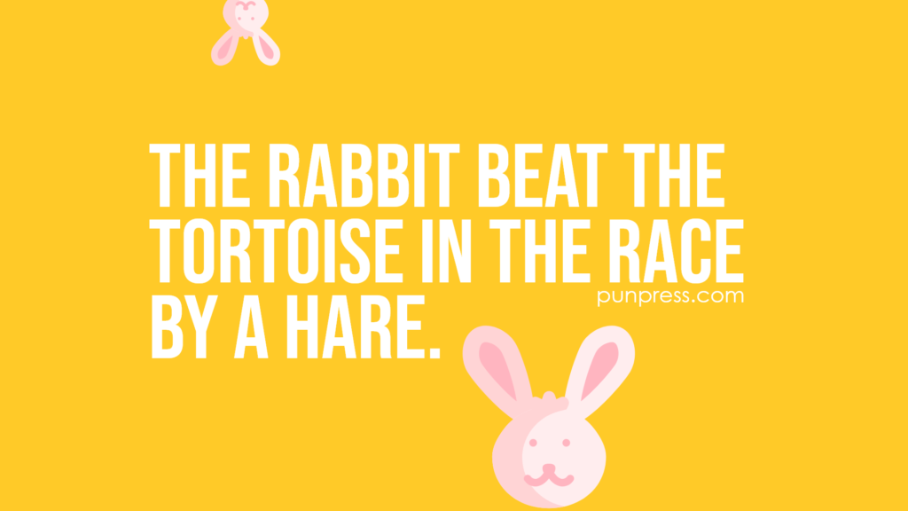 the rabbit beat the tortoise in the race by a hare - hare puns