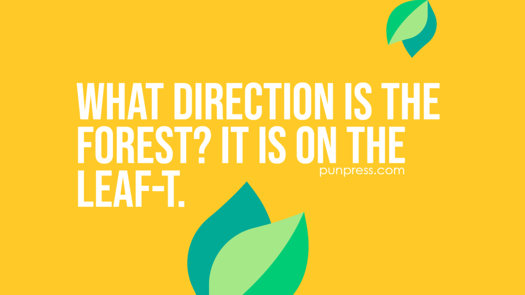 what direction is the forest? it is on the leaf-t - leaf puns