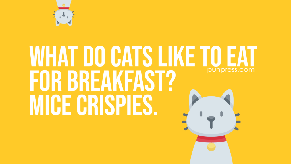 what do cats like to eat for breakfast? mice crispies - cat puns