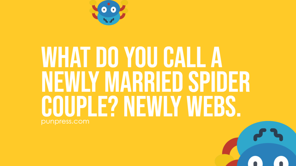 what do you call a newly married spider couple? newly webs - spider puns
